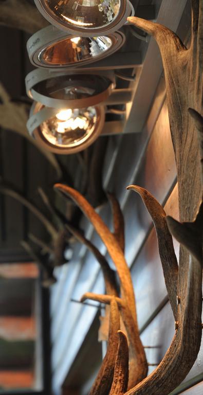 Villa Arbre Dressé à Somme-Leuze Extérieur photo